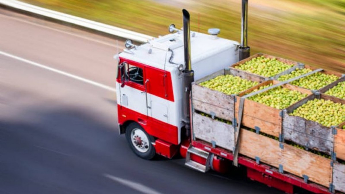 Retos de la logística alimentaria