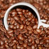 Residuos del café, una mina de oro para el sector agroindustrial