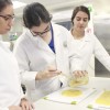 Estudiantes con bioplástico de mango