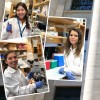 Estudiantes del Tec realizan estancias de investigación en Harvard