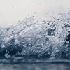 Foro de la Economía del Agua