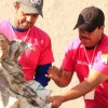 Voluntarios del Tec de Monterrey dan su tiempo y esfuerzo en ayuda de los demás
