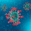 5 respuestas sobre la emergencia internacional por nuevo coronavirus