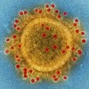 Coronavirus investigado por científicos del Tec de Monterrey