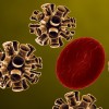 ¿Cómo daña el nuevo coronavirus el cuerpo humano?