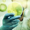 Pandemia, cepa y otras palabras sobre el coronavirus que debes saber