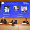 Profesor Tec experto opina de los ganadores del premio nobel de economía 2021