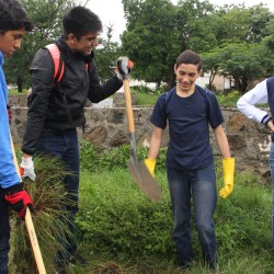 Los estudiantes de bachillerato apoyaron en la reforestación y habilitación de diversos espacios públicos.