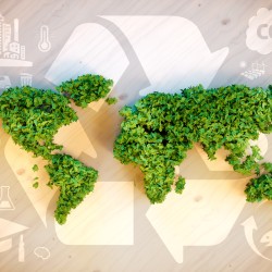 Sostenibilidad ecológica mundial.