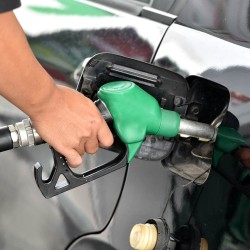 Asegurar abasto de gasolina y buscar alternativas son los retos