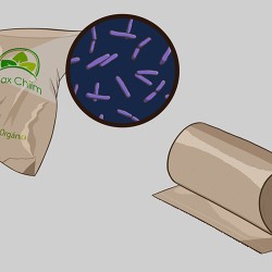 Diseño de bolsa biodegradable