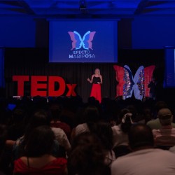 TEDxTeopanzolco efecto mariposa
