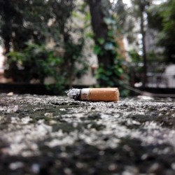 Día Mundial sin Tabaco Tabaquismo Fumar Cigarro