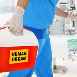 Donación_Órganos