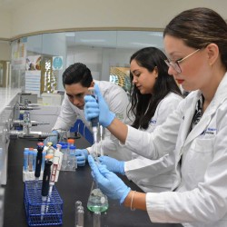 Mexicanos crean prueba rápida que detectar infecciones postquirúrgicas
