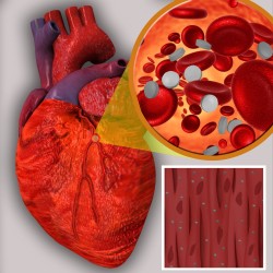 Nanomedicina en enfermedades cardiacas