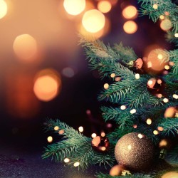 El pino de navidad es uno de los símbolos populares de las fiestas decembrinas.