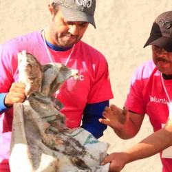 Voluntarios del Tec de Monterrey dan su tiempo y esfuerzo en ayuda de los demás