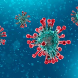 5 answers on the global emergency due to the new coronavirus