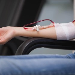 Salvan 117 vidas con la última colecta de sangre Tec organizada por Blooders