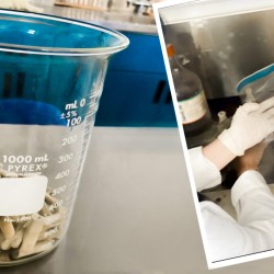 Un pequeño montón de colillas en un recipiente de laboratorio y estudiantes en proceso de transformación.