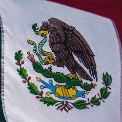 ¡Viva México! y sus emprendedores sociales