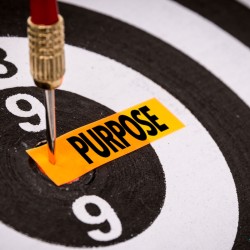 Expert advice to help you to find your purpose in life
