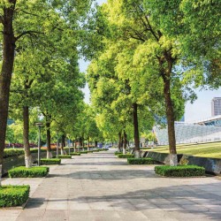 Oasis urbanos son un espacio verde sustentable en la ciudad