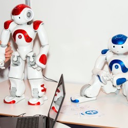 Tec professors develop therapy program with robots