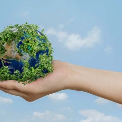 El plan de sostenibilidad del Tec incluye acciones para enfrentar la crisis ambiental y sus efectos