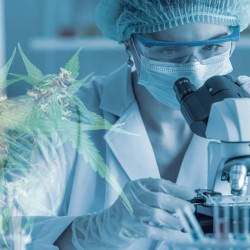 TecSalud conducting first CBD study to treat COVID after-effects