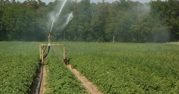 Agricultura De Precision La Nueva Alternativa Sustentable