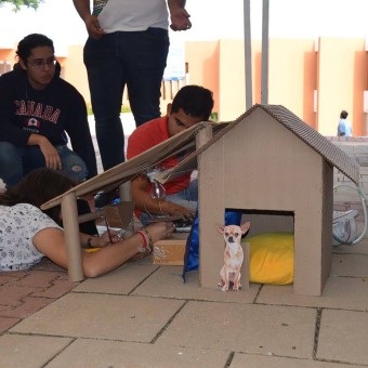 Los alumnos diseñaron casas para mascotas