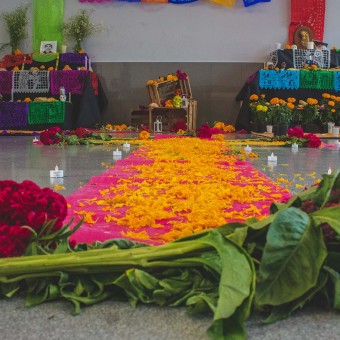 Muertec se lleva a cabo en la preparatoria del Tecnológico de Monterrey campus Toluca para celebrar el Día de Muertos