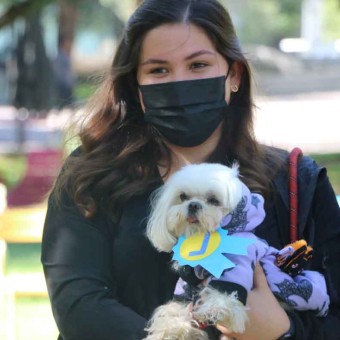 Estudiantes llevaron a sus perritos disfrazados por Halloween.