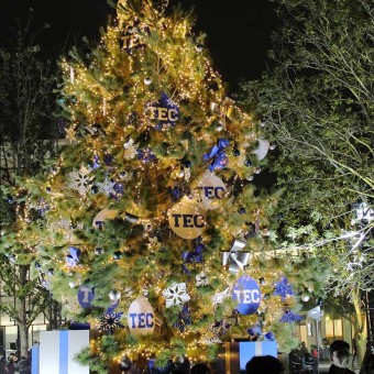 El pino fue decorado con esferas azul y blancas y ornamentos Tec.